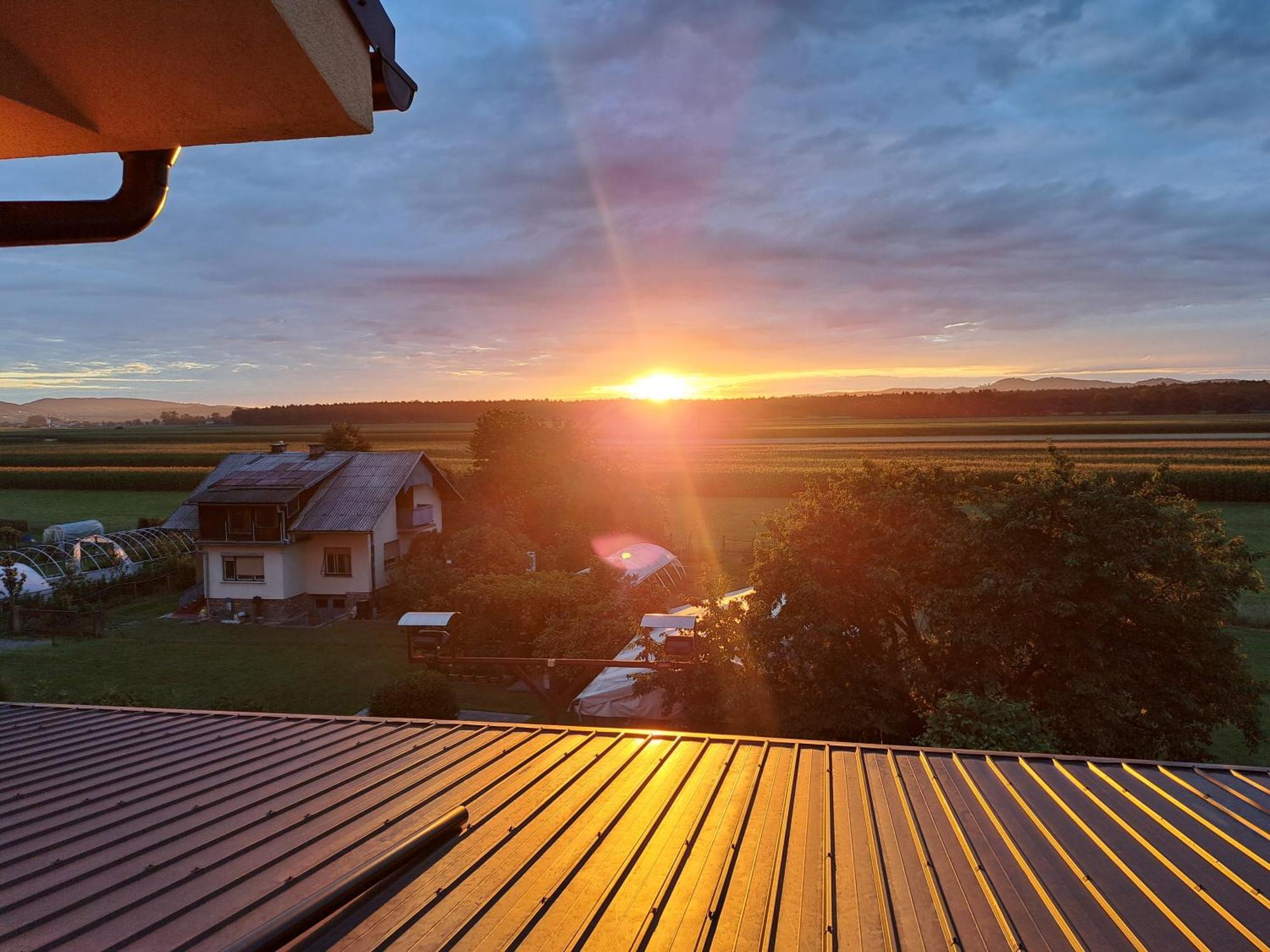 Guesthouse Zivko Dobrovce Экстерьер фото
