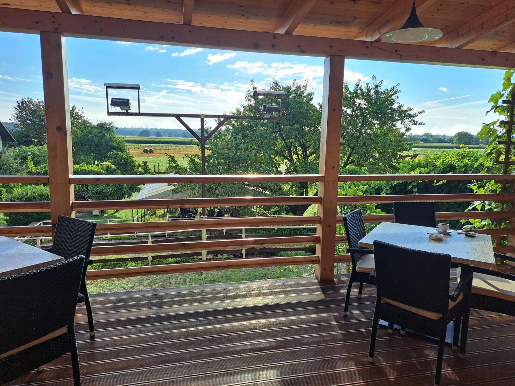 Guesthouse Zivko Dobrovce Экстерьер фото