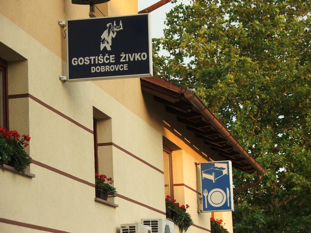 Guesthouse Zivko Dobrovce Экстерьер фото